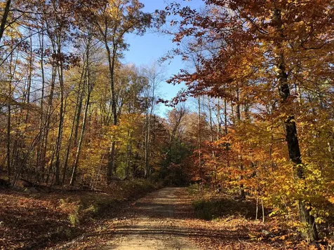 67 Dobbins Way Alton NH 03809