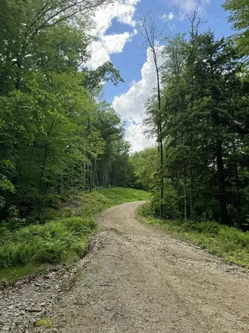 67 Dobbins Way Alton NH 03809