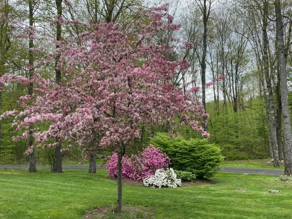 168 Bolton Road Winchester NH 03470