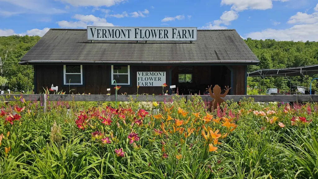 2263 Us Route 2 Marshfield VT 05658-7149