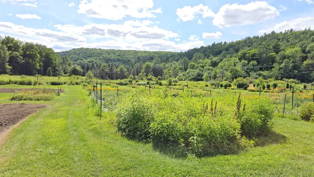 2263 Us Route 2 Marshfield VT 05658-7149