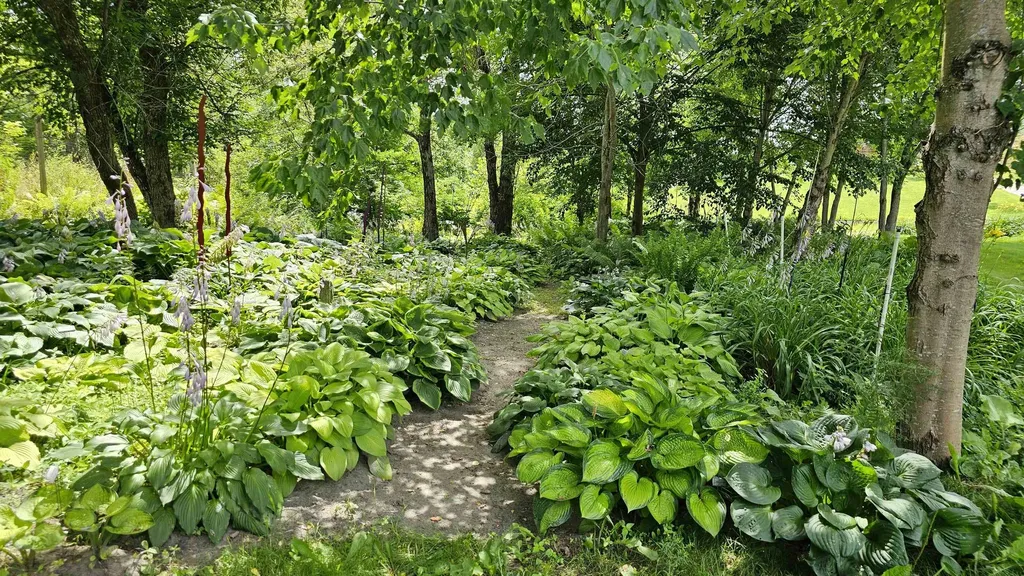 2263 Us Route 2 Marshfield VT 05658-7149