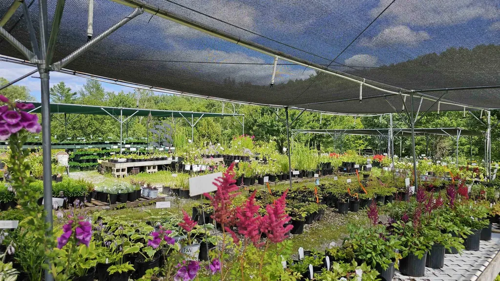 2263 Us Route 2 Marshfield VT 05658-7149