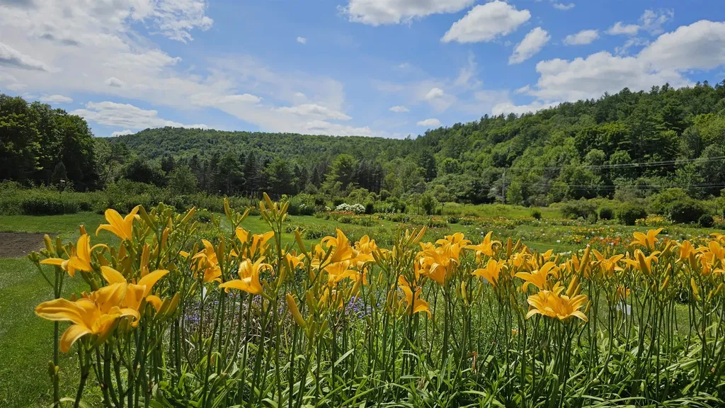 2263 Us Route 2 Marshfield VT 05658-7149