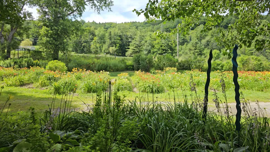 2263 Us Route 2 Marshfield VT 05658-7149