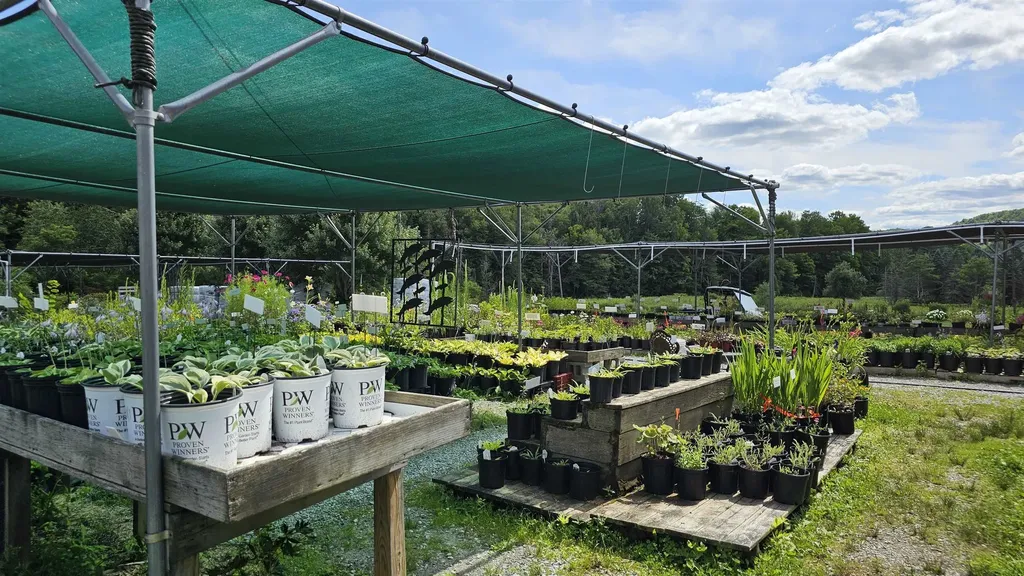 2263 Us Route 2 Marshfield VT 05658-7149