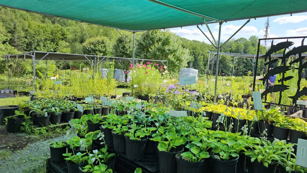 2263 Us Route 2 Marshfield VT 05658-7149