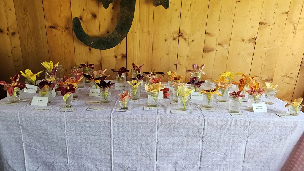 2263 Us Route 2 Marshfield VT 05658-7149