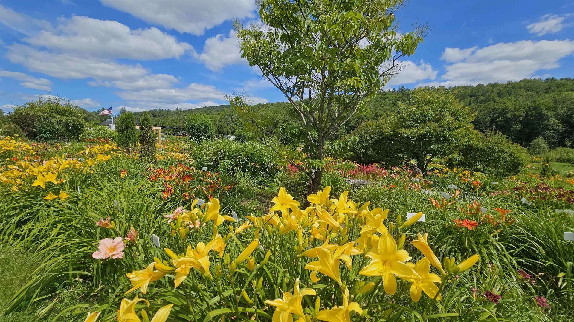 2263 Us Route 2 Marshfield VT 05658-7149