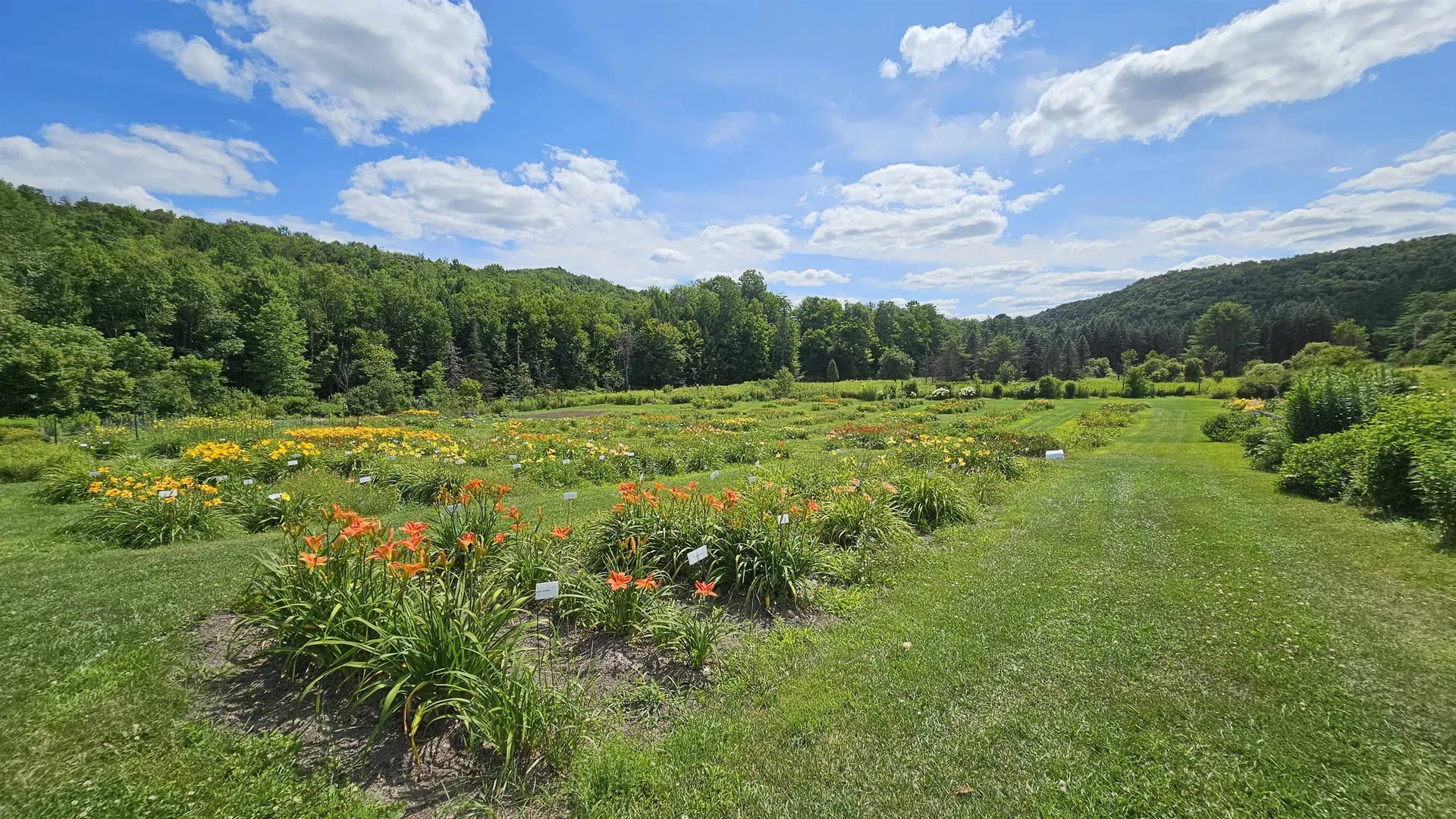 2263 Us Route 2 Marshfield VT 05658-7149