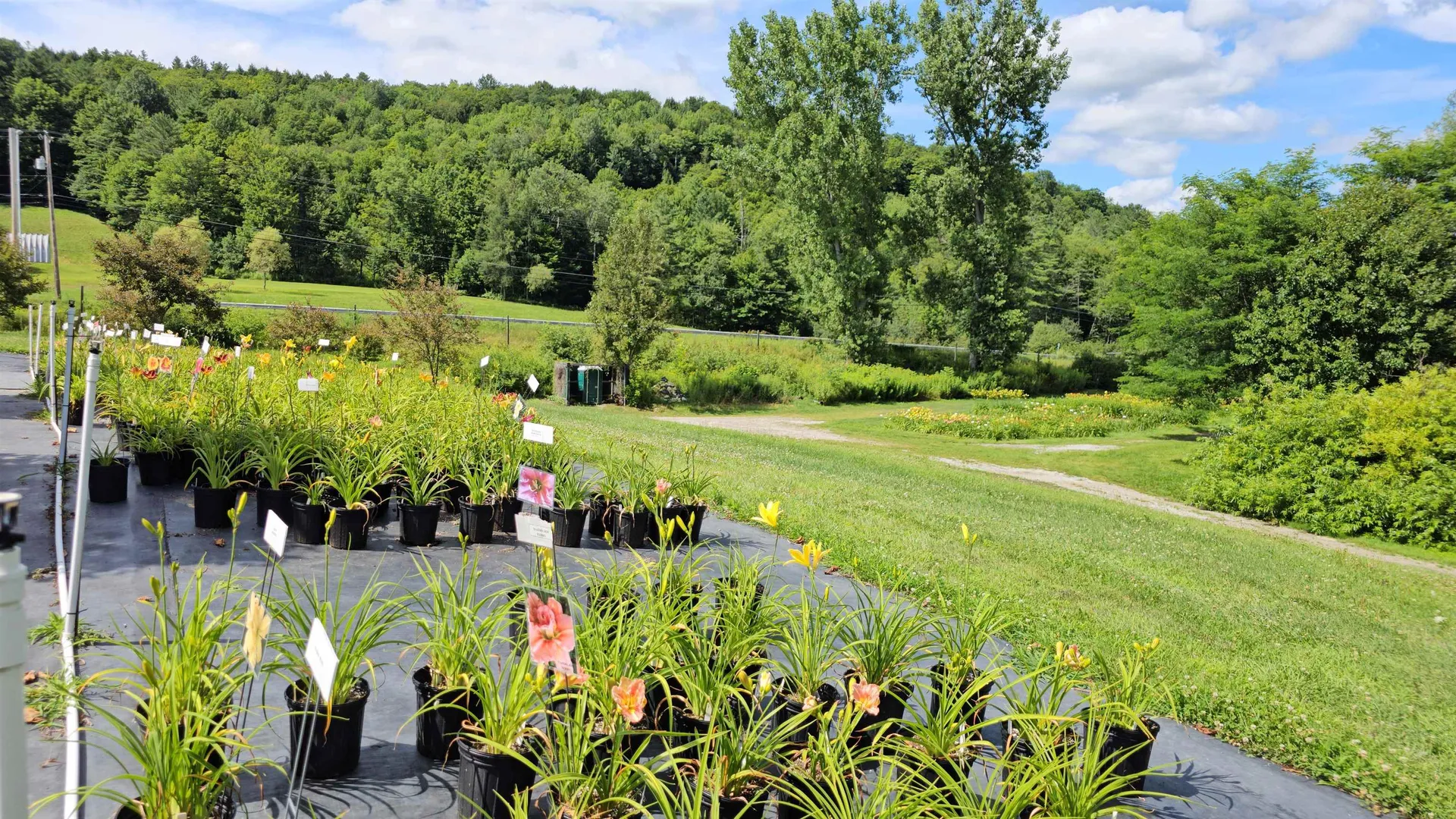 2263 Us Route 2 Marshfield VT 05658-7149