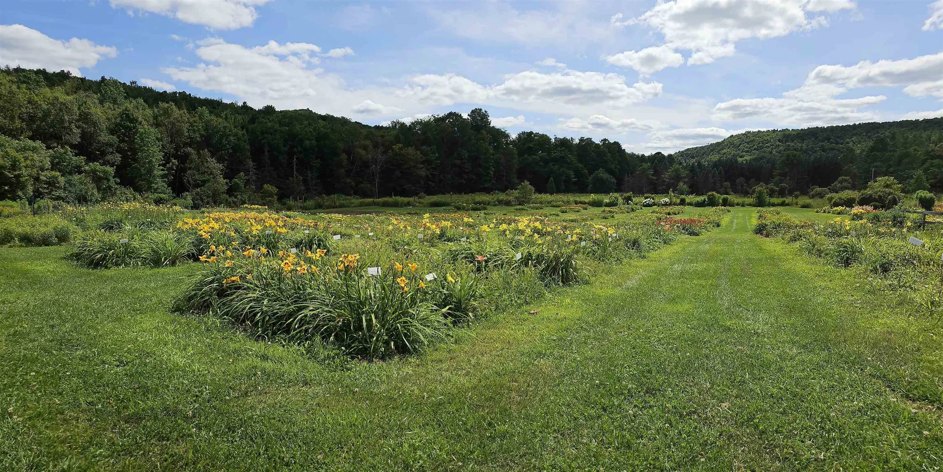 2263 Us Route 2 Marshfield VT 05658-7149