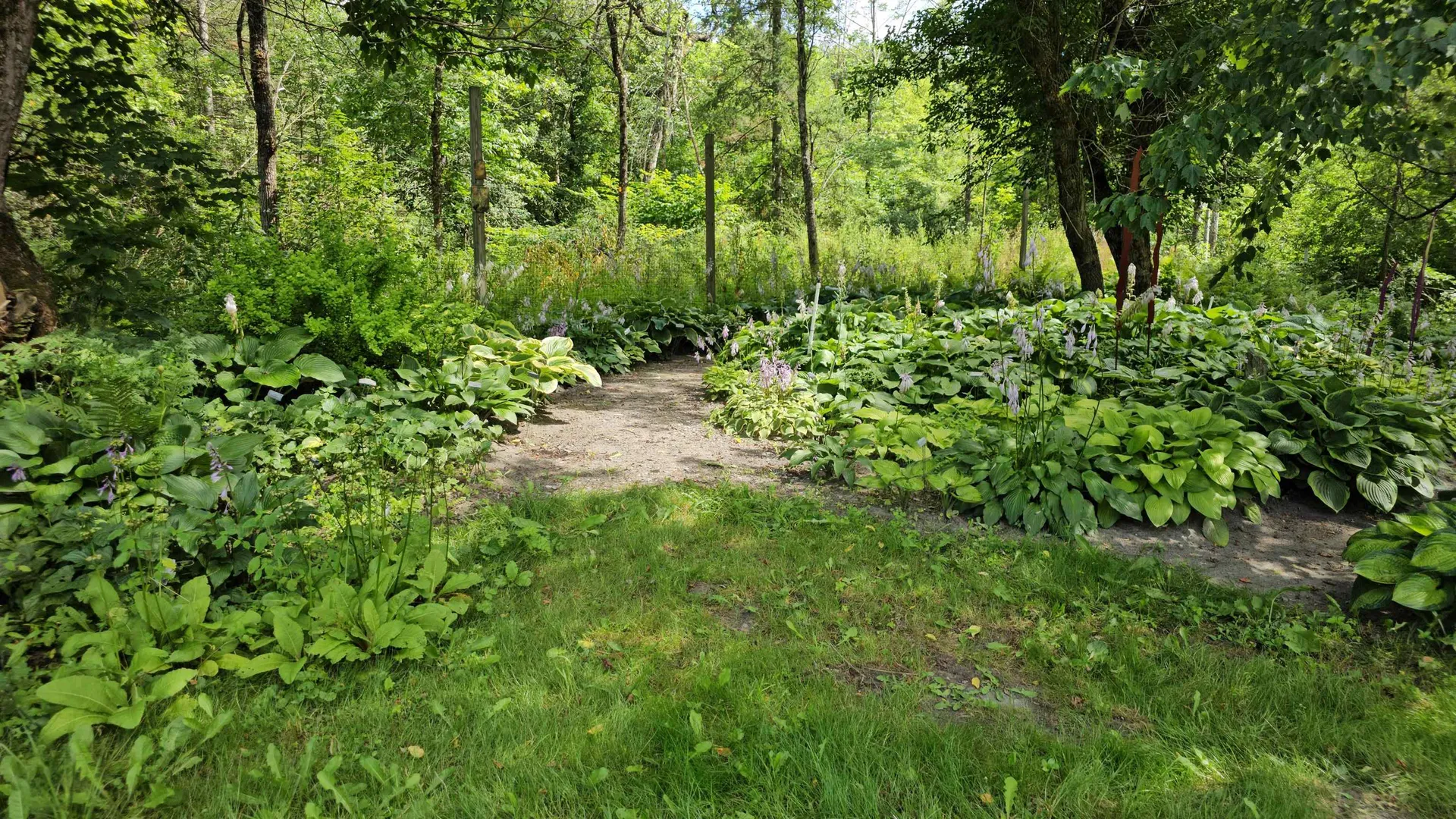 2263 Us Route 2 Marshfield VT 05658-7149