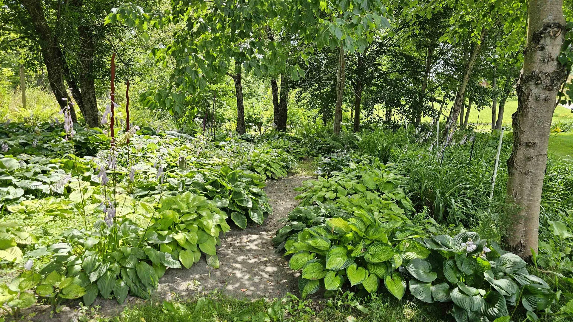 2263 Us Route 2 Marshfield VT 05658-7149