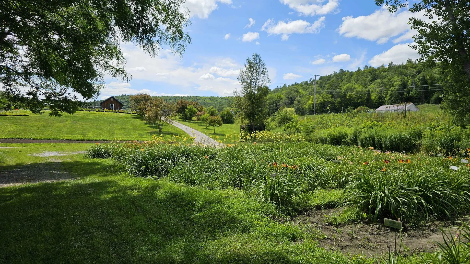 2263 Us Route 2 Marshfield VT 05658-7149