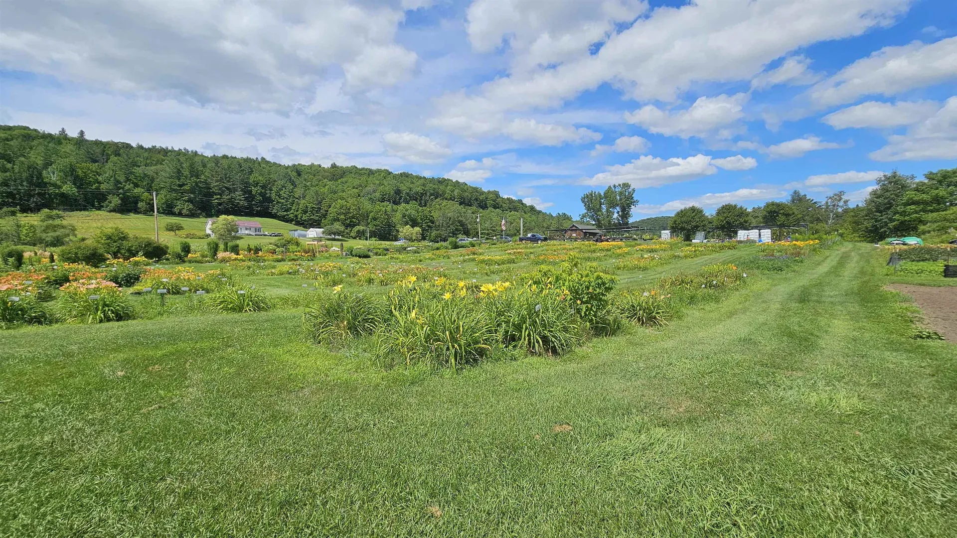 2263 Us Route 2 Marshfield VT 05658-7149