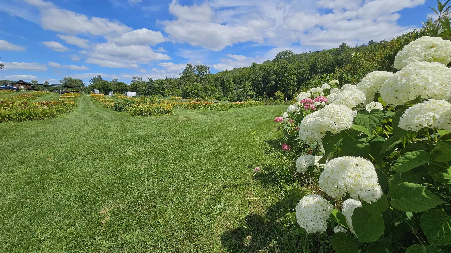 2263 Us Route 2 Marshfield VT 05658-7149