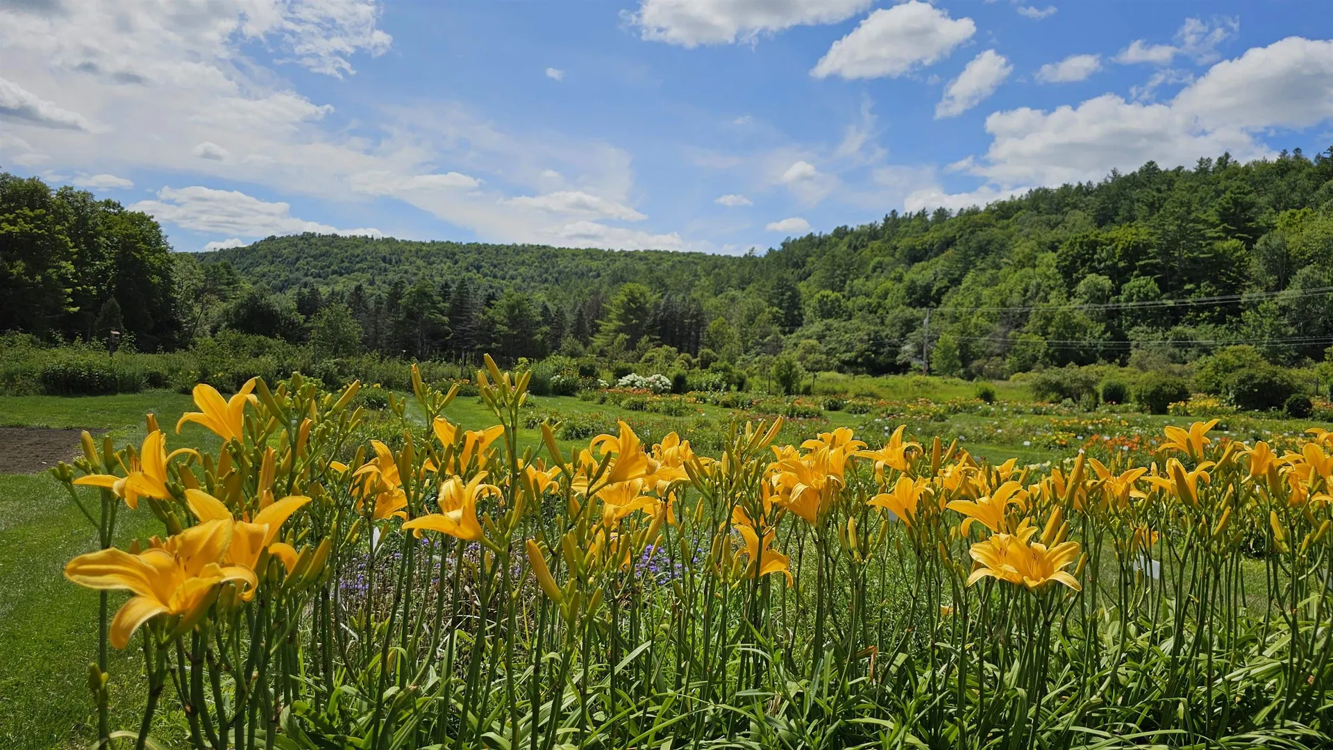 2263 Us Route 2 Marshfield VT 05658-7149