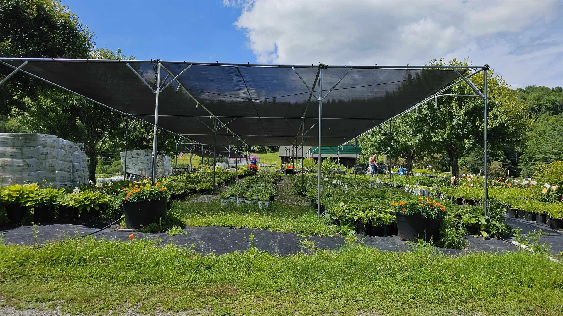 2263 Us Route 2 Marshfield VT 05658-7149