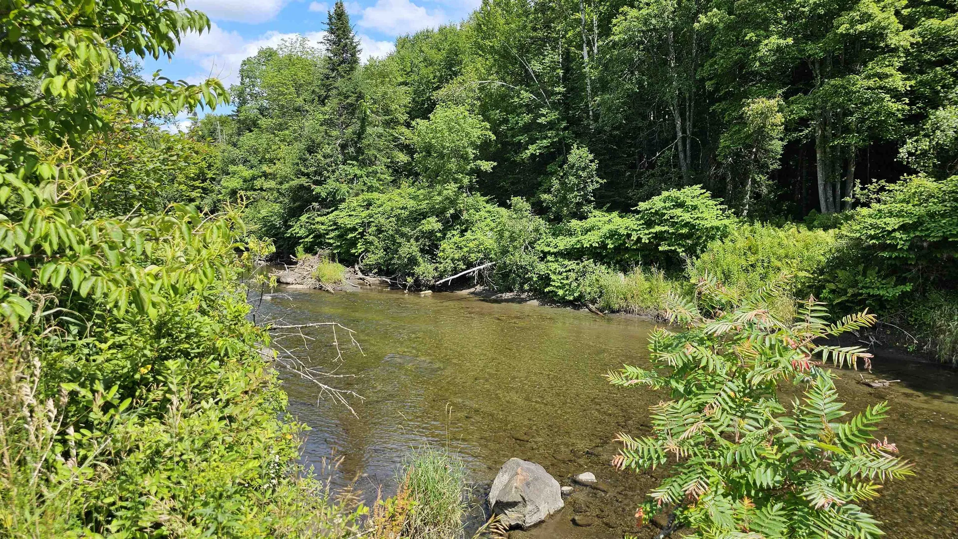 2263 Us Route 2 Marshfield VT 05658-7149