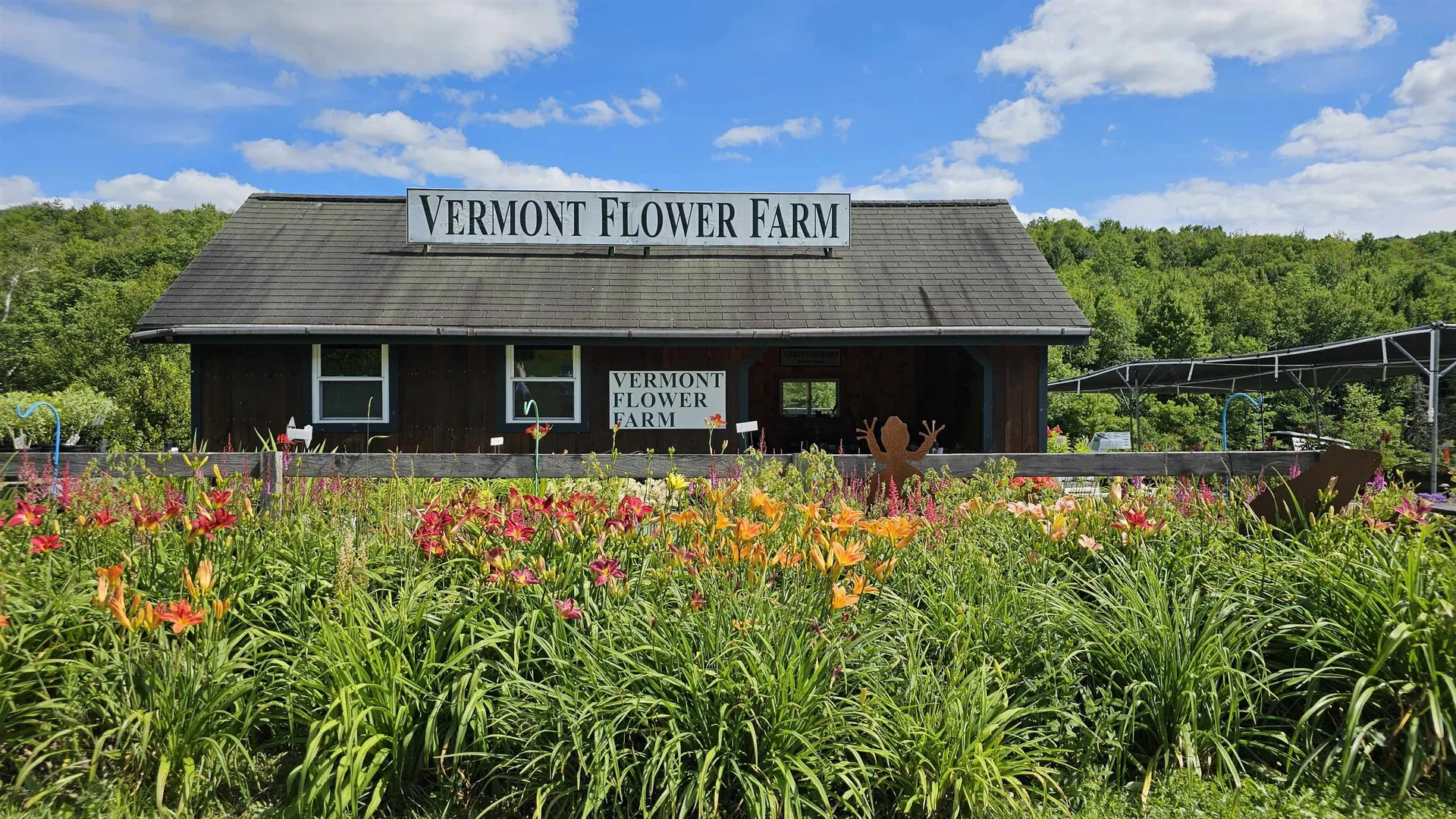 2263 Us Route 2 Marshfield VT 05658-7149