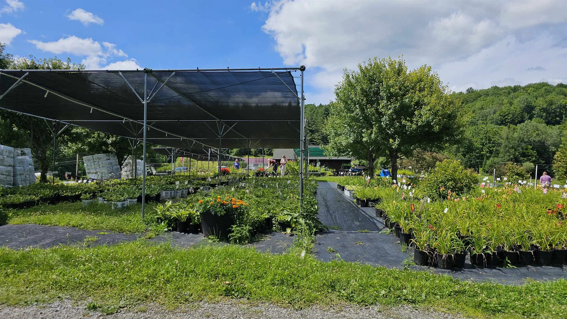 2263 Us Route 2 Marshfield VT 05658-7149