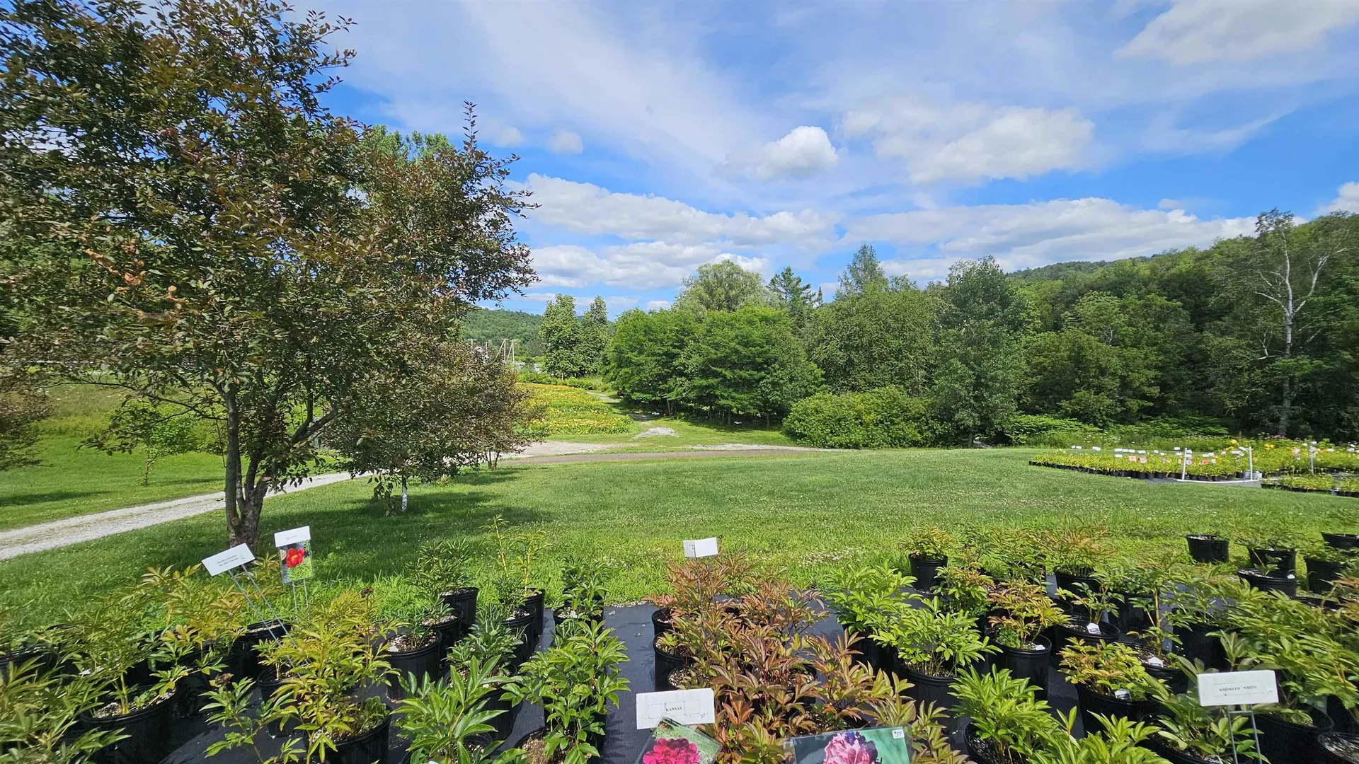 2263 Us Route 2 Marshfield VT 05658-7149