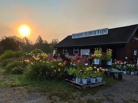 2263 Us Route 2 Marshfield VT 05658-7149