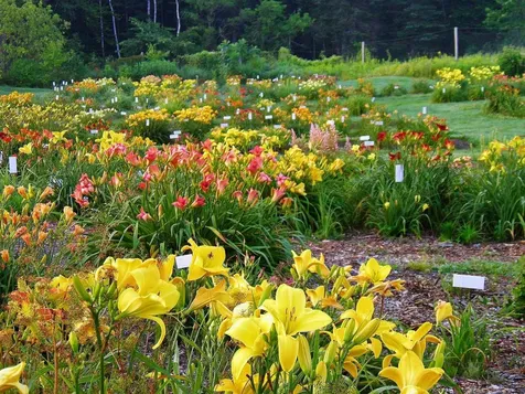 2263 Us Route 2 Marshfield VT 05658-7149
