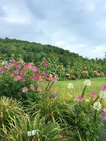 2263 Us Route 2 Marshfield VT 05658-7149