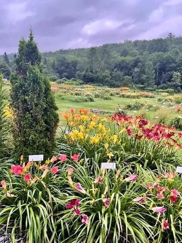 2263 Us Route 2 Marshfield VT 05658-7149