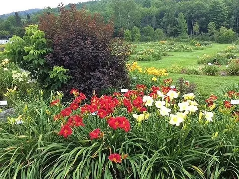 2263 Us Route 2 Marshfield VT 05658-7149