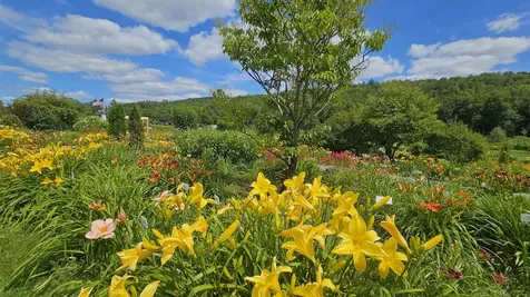 2263 Us Route 2 Marshfield VT 05658-7149