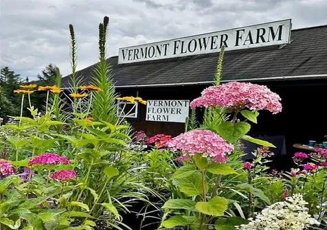2263 Us Route 2 Marshfield VT 05658-7149