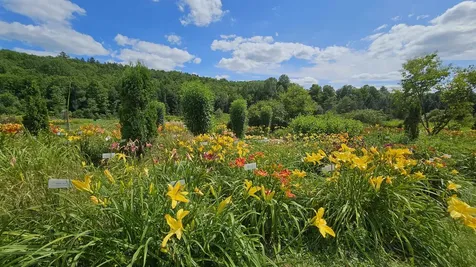 2263 Us Route 2 Marshfield VT 05658-7149