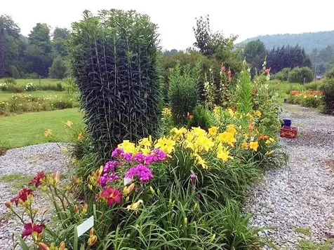 2263 Us Route 2 Marshfield VT 05658-7149
