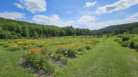 2263 Us Route 2 Marshfield VT 05658-7149