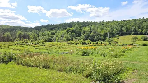 2263 Us Route 2 Marshfield VT 05658-7149