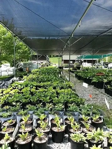 2263 Us Route 2 Marshfield VT 05658-7149