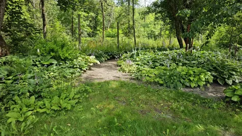 2263 Us Route 2 Marshfield VT 05658-7149