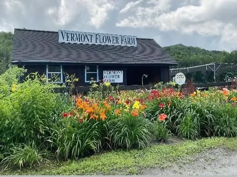 2263 Us Route 2 Marshfield VT 05658-7149