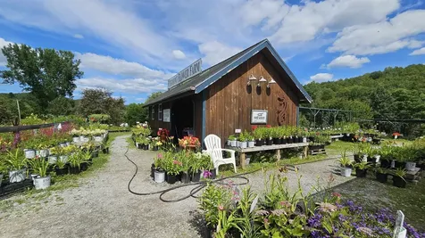 2263 Us Route 2 Marshfield VT 05658-7149