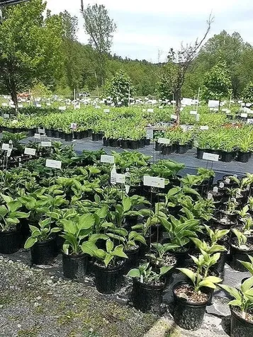 2263 Us Route 2 Marshfield VT 05658-7149