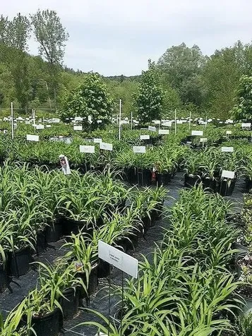 2263 Us Route 2 Marshfield VT 05658-7149