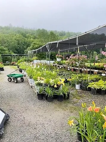2263 Us Route 2 Marshfield VT 05658-7149