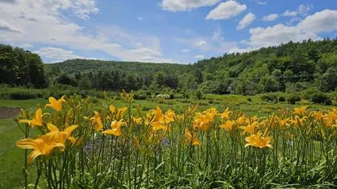 2263 Us Route 2 Marshfield VT 05658-7149