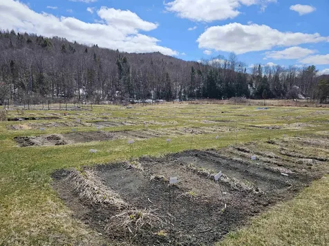 2263 Us Route 2 Marshfield VT 05658-7149