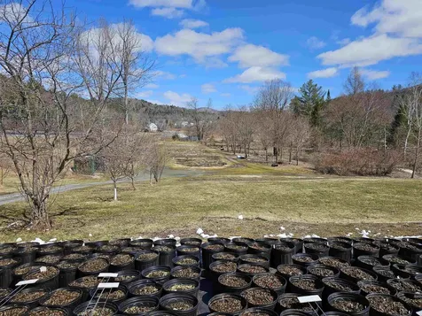 2263 Us Route 2 Marshfield VT 05658-7149