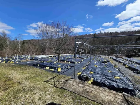 2263 Us Route 2 Marshfield VT 05658-7149