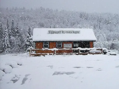 2263 Us Route 2 Marshfield VT 05658-7149